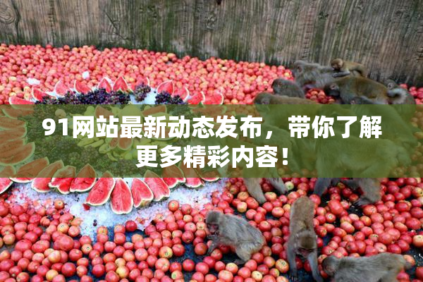 91网站最新动态发布，带你了解更多精彩内容！
