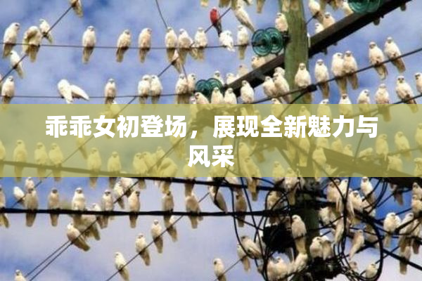 乖乖女初登场，展现全新魅力与风采