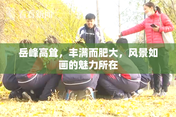 岳峰高耸，丰满而肥大，风景如画的魅力所在