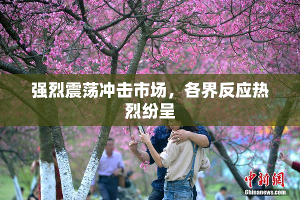 强烈震荡冲击市场，各界反应热烈纷呈