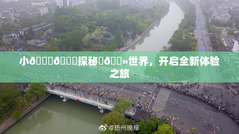 小🐔🐔探秘‌🐻世界，开启全新体验之旅