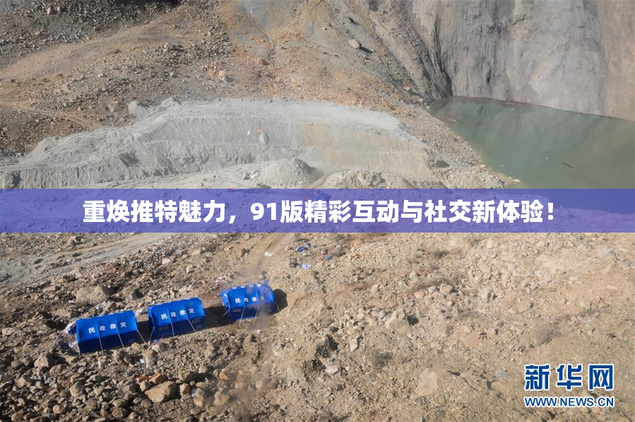 重焕推特魅力，91版精彩互动与社交新体验！