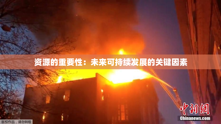 资源的重要性：未来可持续发展的关键因素