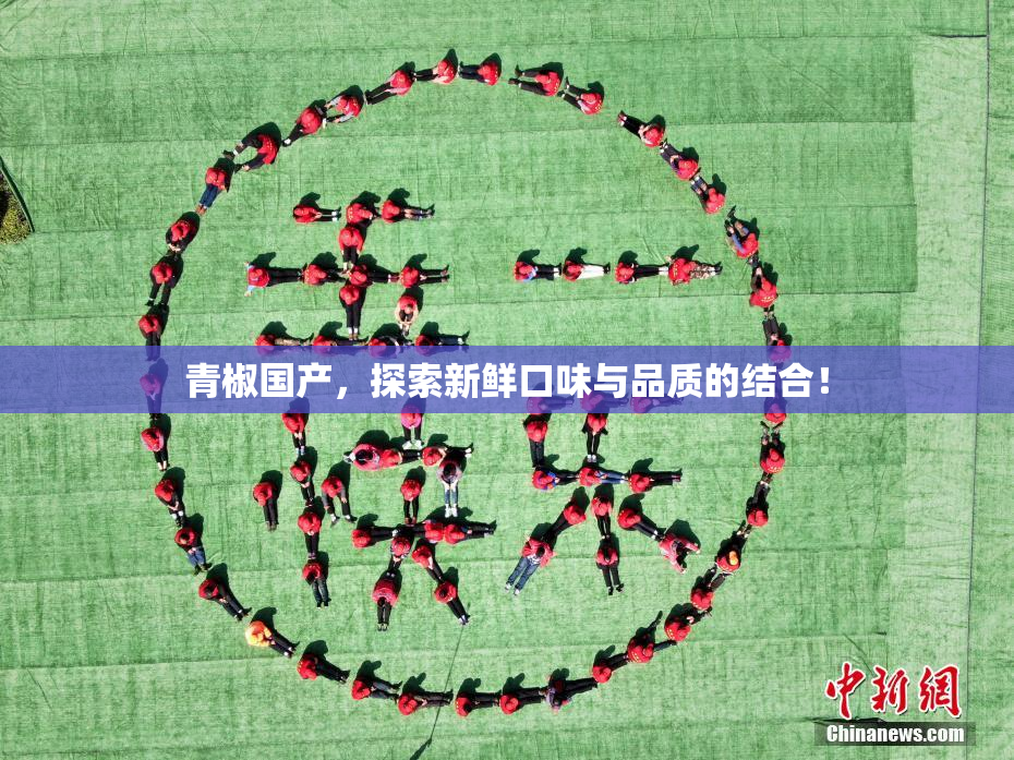 青椒国产，探索新鲜口味与品质的结合！