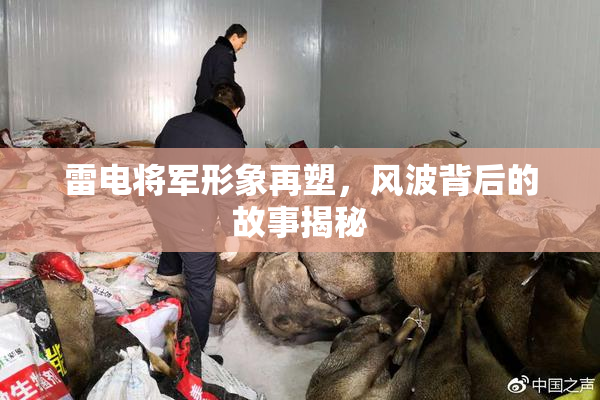 雷电将军形象再塑，风波背后的故事揭秘
