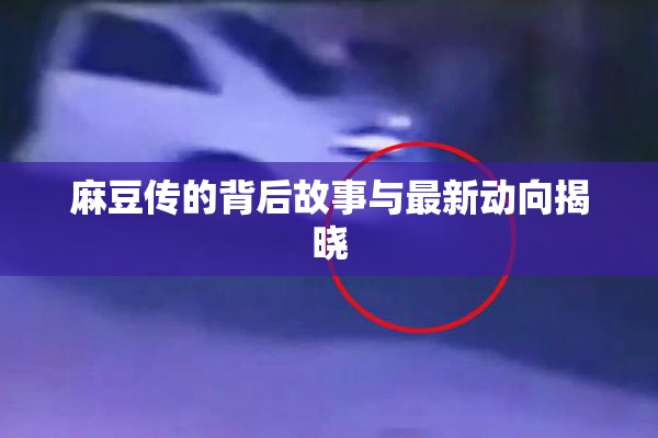 麻豆传的背后故事与最新动向揭晓