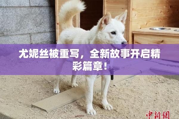 尤妮丝被重写，全新故事开启精彩篇章！