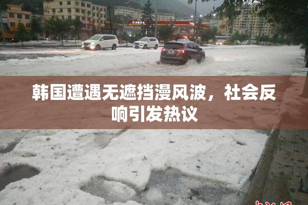 韩国遭遇无遮挡漫风波，社会反响引发热议