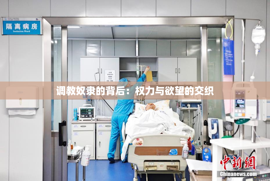 调教奴隶的背后：权力与欲望的交织