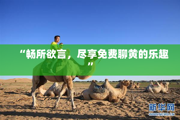 “畅所欲言，尽享免费聊黄的乐趣”