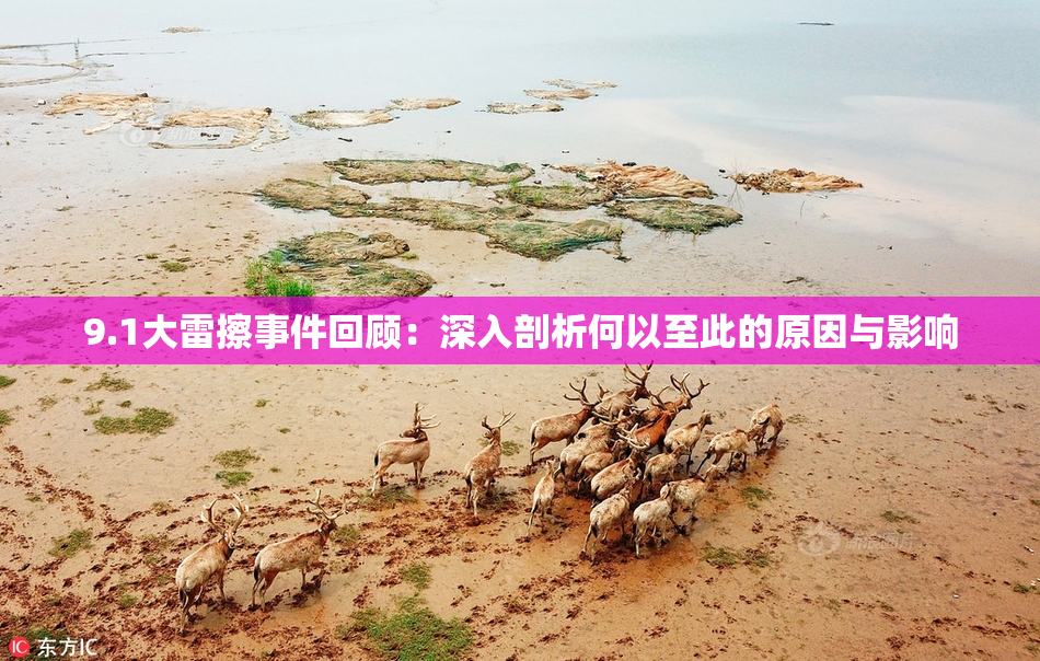9.1大雷擦事件回顾：深入剖析何以至此的原因与影响