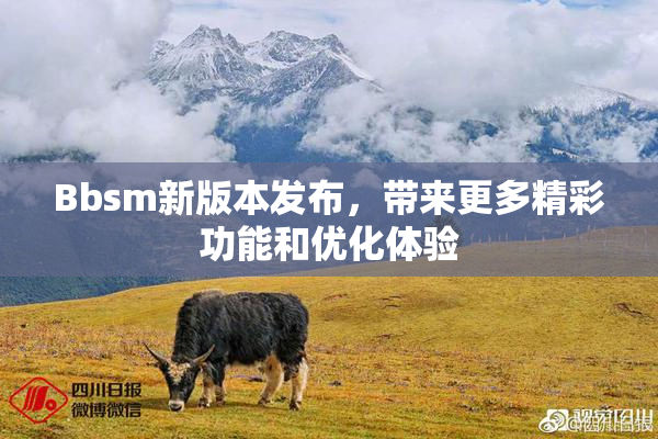 Bbsm新版本发布，带来更多精彩功能和优化体验
