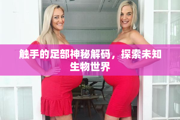 触手的足部神秘解码，探索未知生物世界