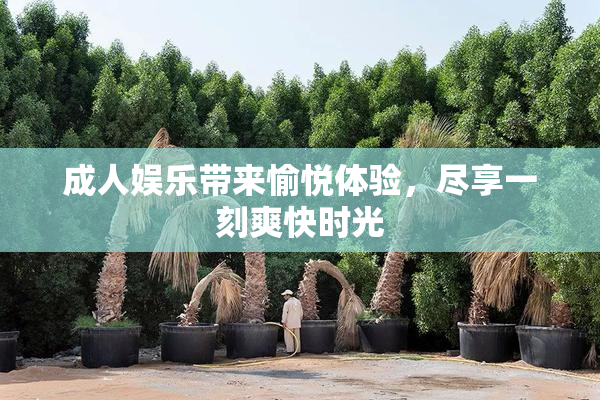 成人娱乐带来愉悦体验，尽享一刻爽快时光