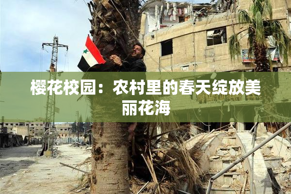 樱花校园：农村里的春天绽放美丽花海