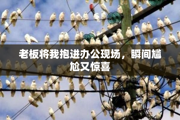 老板将我抱进办公现场，瞬间尴尬又惊喜