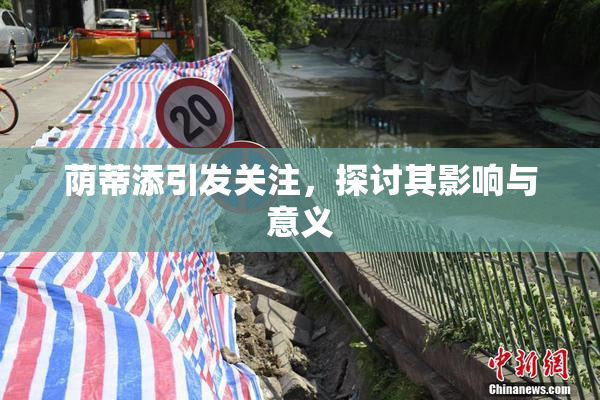 荫蒂添引发关注，探讨其影响与意义