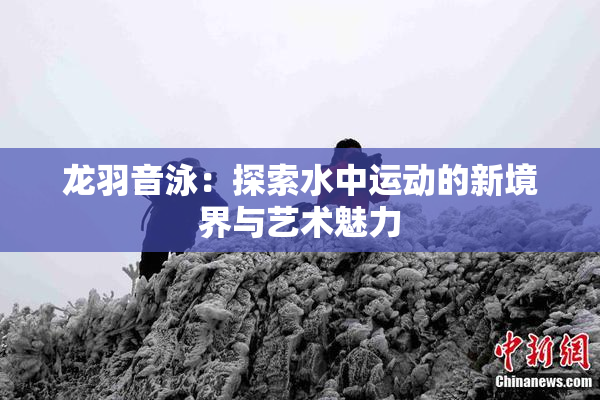 龙羽音泳：探索水中运动的新境界与艺术魅力