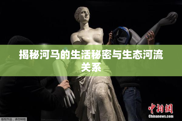 揭秘河马的生活秘密与生态河流关系