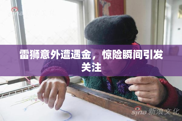 雷狮意外遭遇金，惊险瞬间引发关注