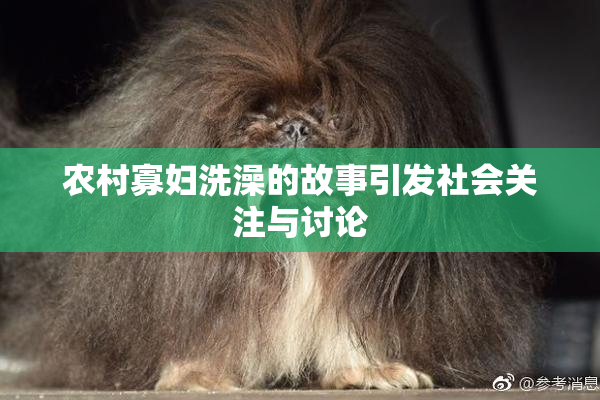 农村寡妇洗澡的故事引发社会关注与讨论