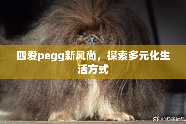 四爱pegg新风尚，探索多元化生活方式