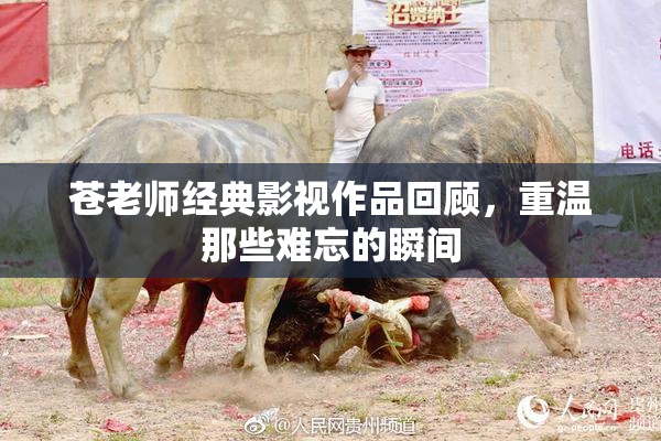 苍老师经典影视作品回顾，重温那些难忘的瞬间