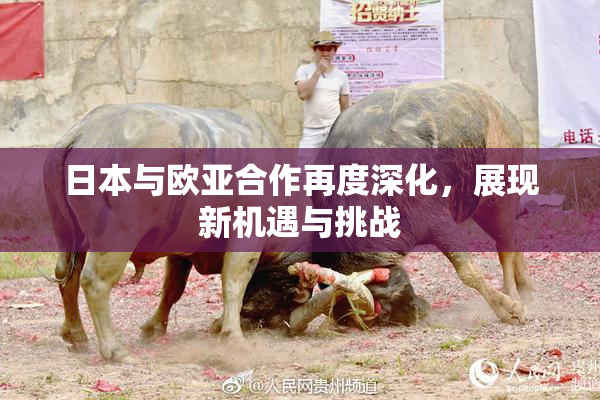 日本与欧亚合作再度深化，展现新机遇与挑战
