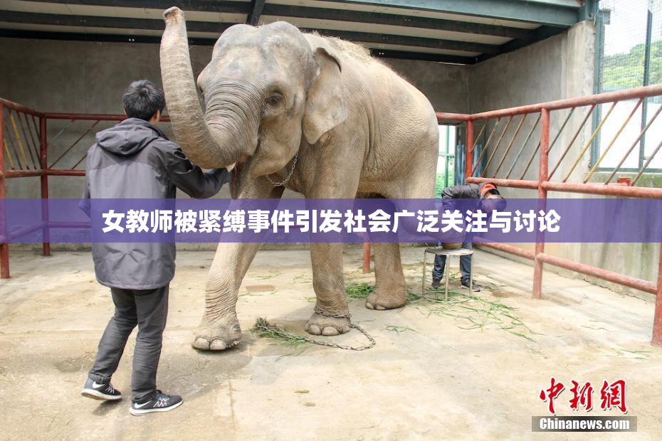 女教师被紧缚事件引发社会广泛关注与讨论