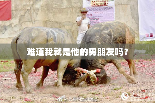 难道我就是他的男朋友吗？