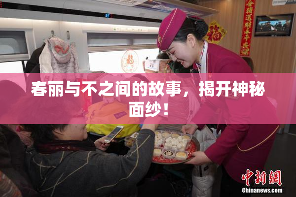 春丽与不之间的故事，揭开神秘面纱！