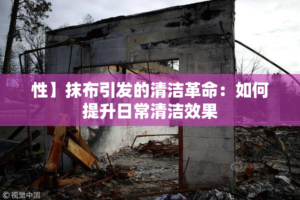 性】抹布引发的清洁革命：如何提升日常清洁效果
