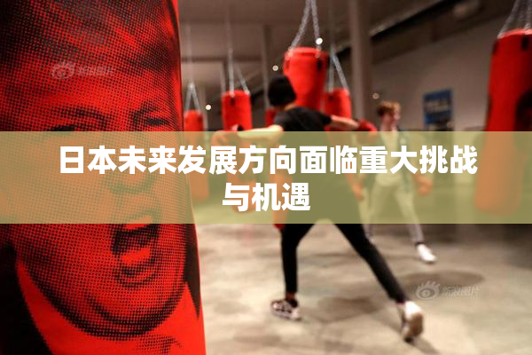 日本未来发展方向面临重大挑战与机遇