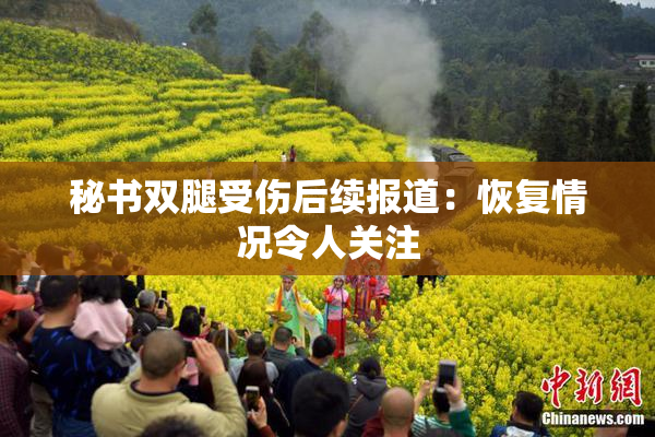 秘书双腿受伤后续报道：恢复情况令人关注