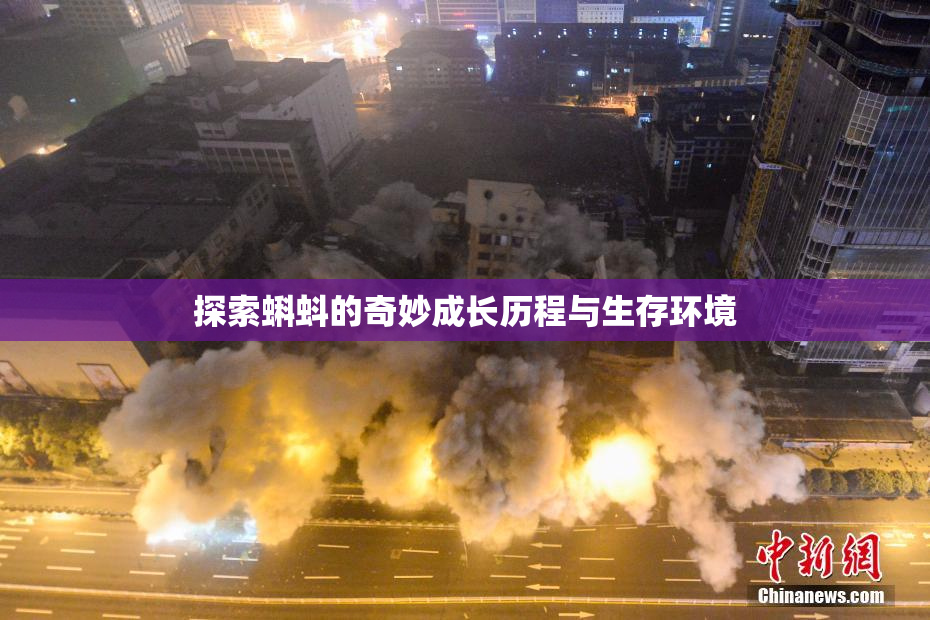 探索蝌蚪的奇妙成长历程与生存环境