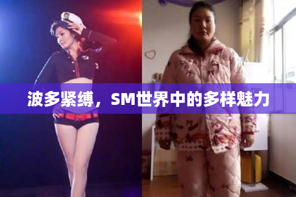 波多紧缚，SM世界中的多样魅力