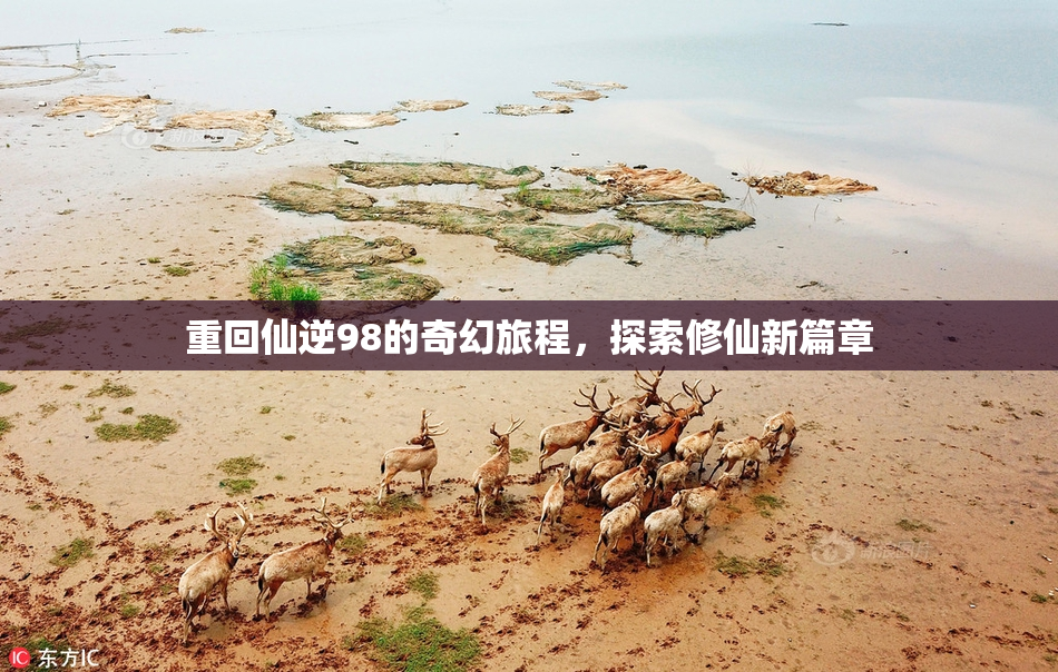 重回仙逆98的奇幻旅程，探索修仙新篇章