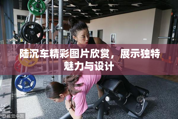陆沉车精彩图片欣赏，展示独特魅力与设计