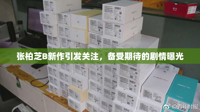 张柏芝B新作引发关注，备受期待的剧情曝光