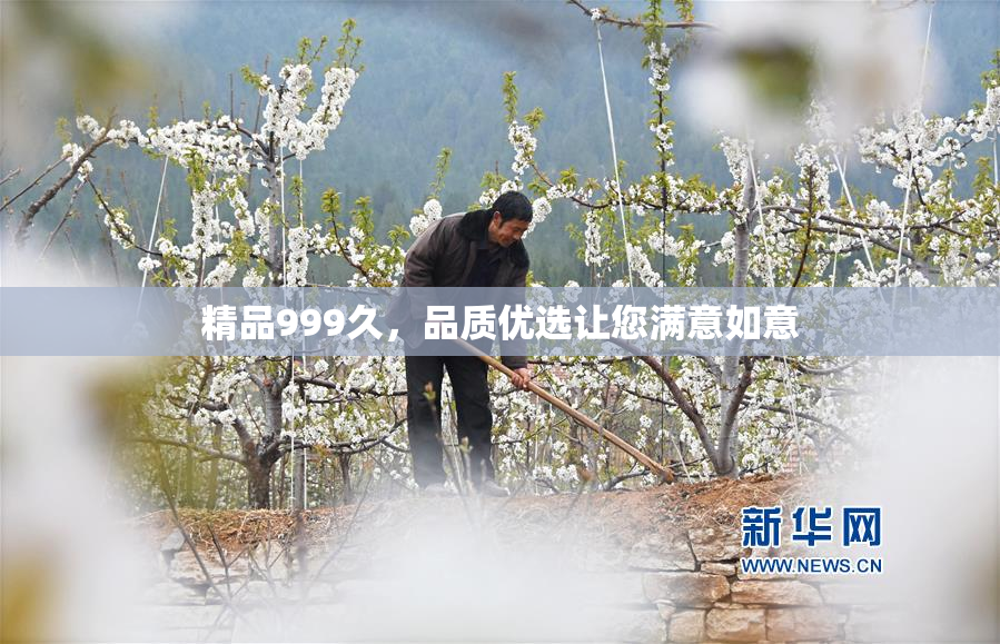 精品999久，品质优选让您满意如意