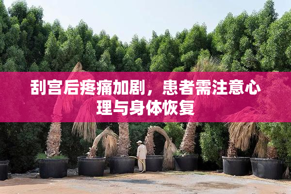 刮宫后疼痛加剧，患者需注意心理与身体恢复