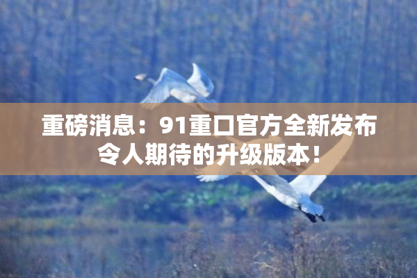 重磅消息：91重口官方全新发布令人期待的升级版本！