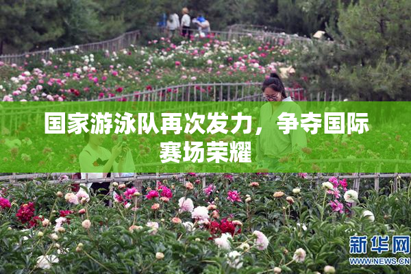 国家游泳队再次发力，争夺国际赛场荣耀