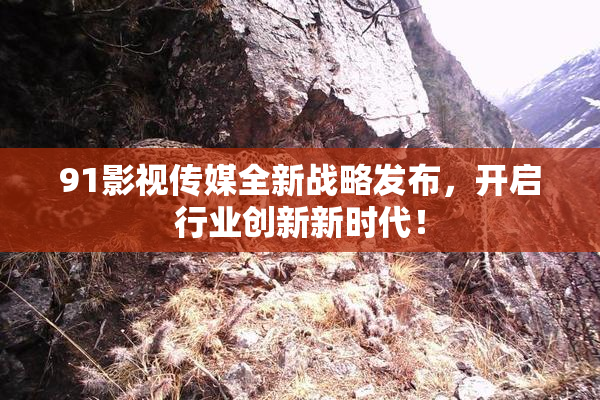 91影视传媒全新战略发布，开启行业创新新时代！