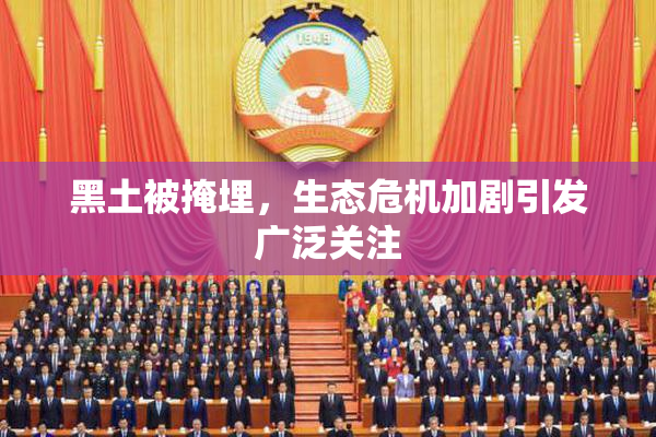 黑土被掩埋，生态危机加剧引发广泛关注