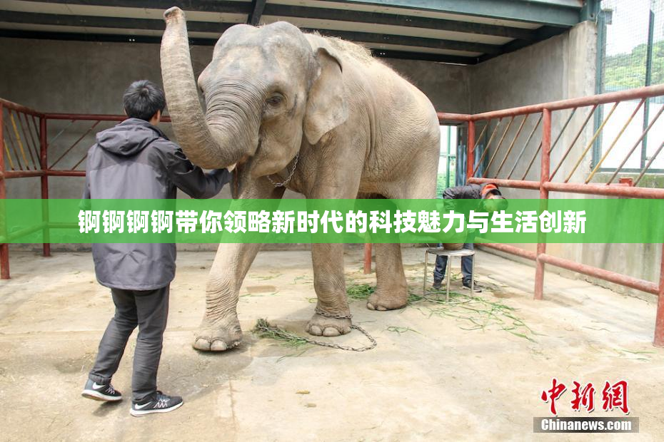 锕锕锕锕带你领略新时代的科技魅力与生活创新