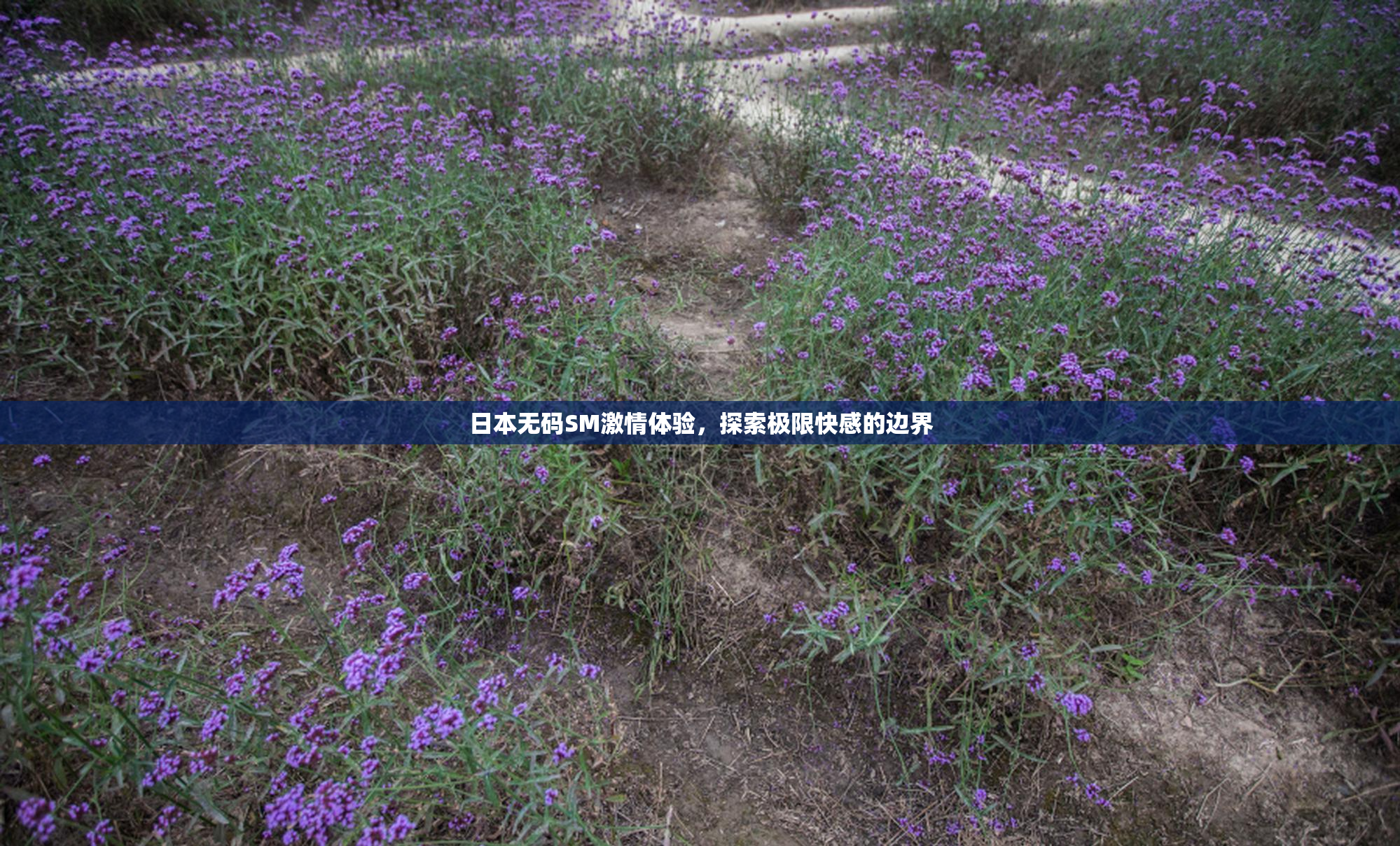 日本无码SM激情体验，探索极限快感的边界