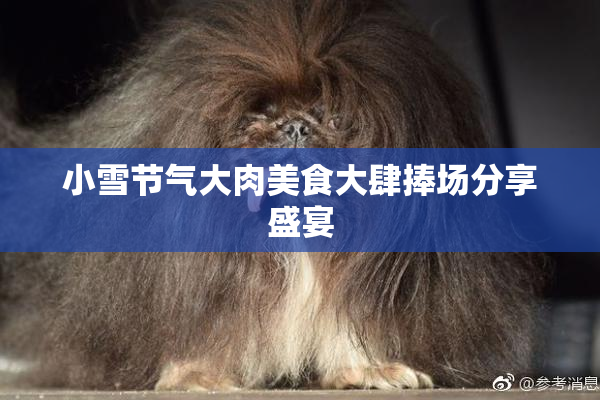 小雪节气大肉美食大肆捧场分享盛宴