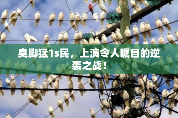 臭脚猛1s民，上演令人瞩目的逆袭之战！