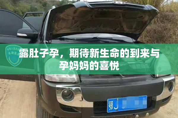 露肚子孕，期待新生命的到来与孕妈妈的喜悦